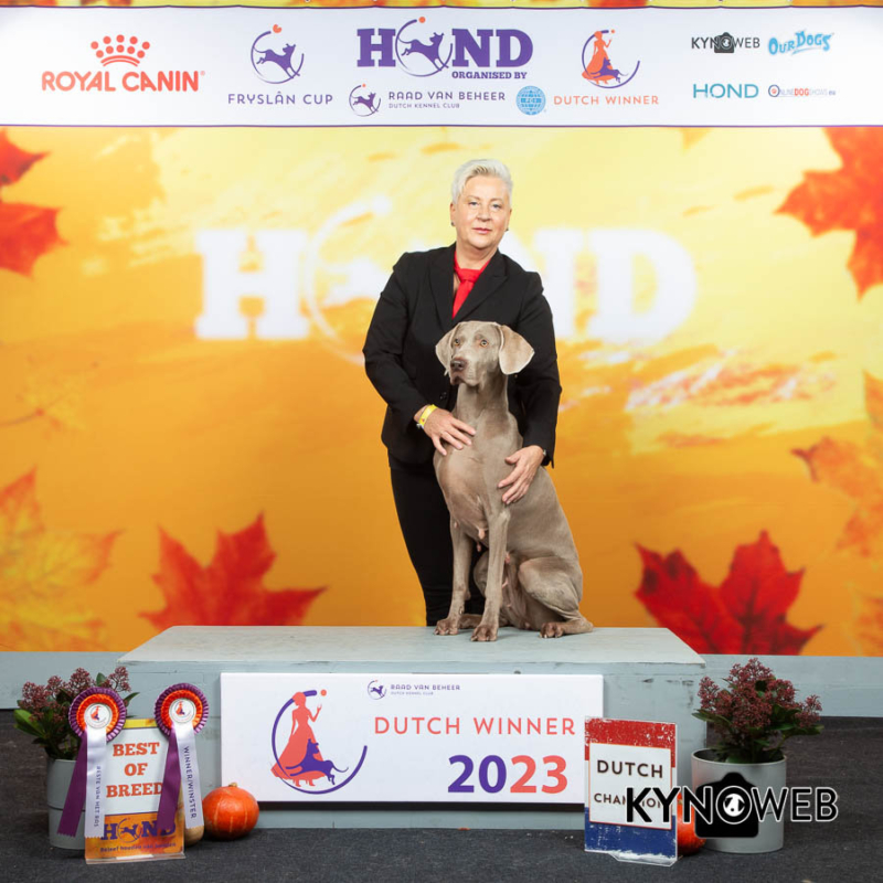 Maya HOLLAND Cup